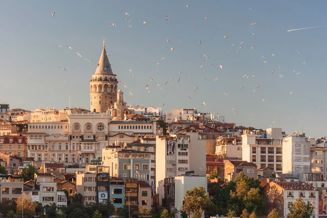 Galatatårnet over hustakene i Istanbul med måker i luften